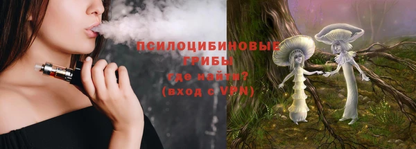 винт Лагань