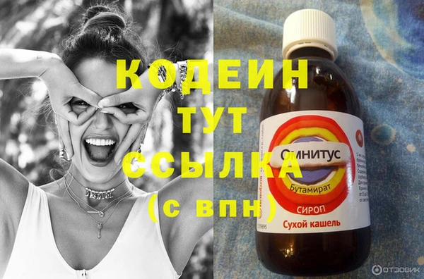 гашик Ладушкин