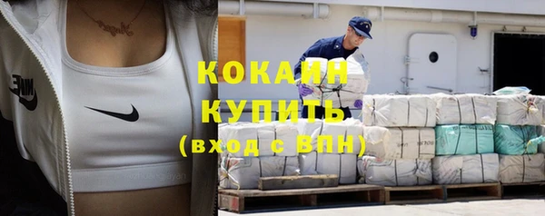 гашик Ладушкин