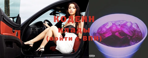 гашик Ладушкин