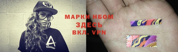 винт Лагань