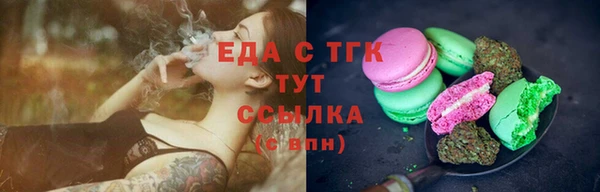 гашик Ладушкин