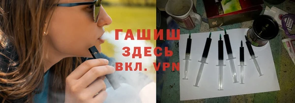 гашик Ладушкин