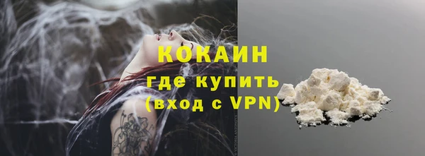 гашик Ладушкин