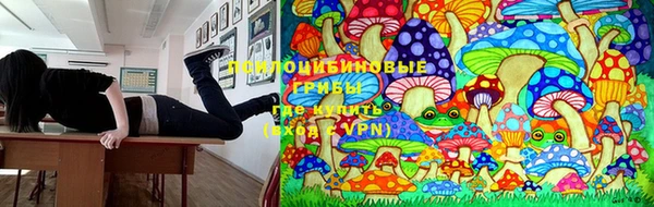 хмурый Лабытнанги