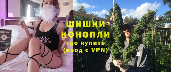 гашик Ладушкин
