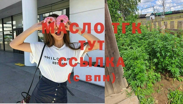 гашик Ладушкин