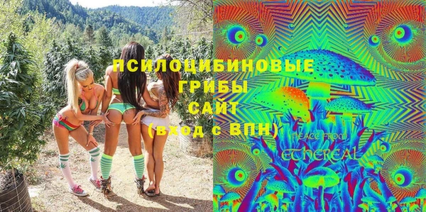 винт Лагань