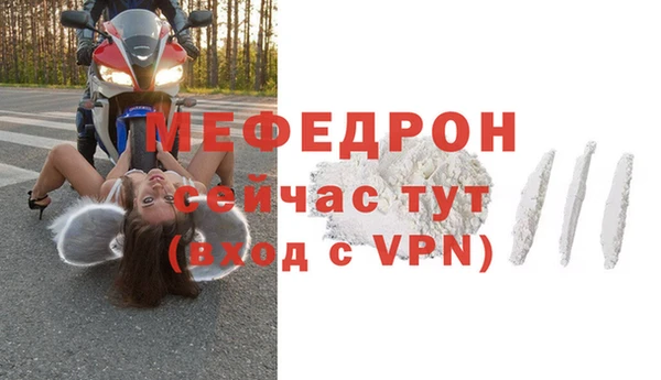 винт Лагань