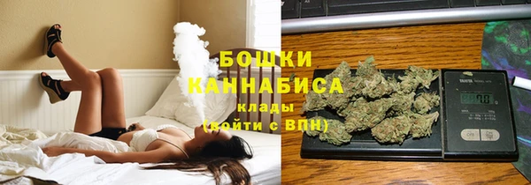 винт Лагань