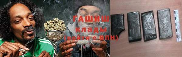 гашик Ладушкин