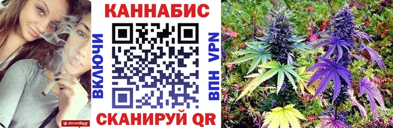 Шишки марихуана индика  где купить   Могоча 